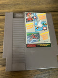 Mario bros duck hunt and world class track meet nes