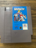Paperboy NES